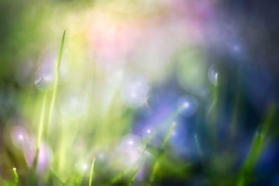 Photographic Print, , small