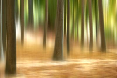 Premium Photographic Print, , small