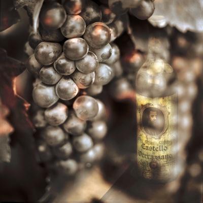 Premium Photographic Print, , small