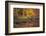 Fire Lake-Viviane Fedieu Daniel-Framed Photographic Print