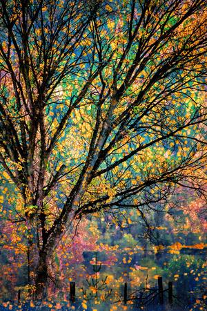 Premium Photographic Print, , small