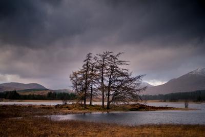 Photographic Print, , small