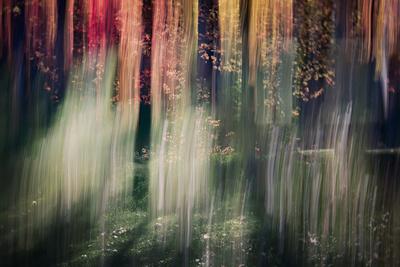Premium Photographic Print, , small