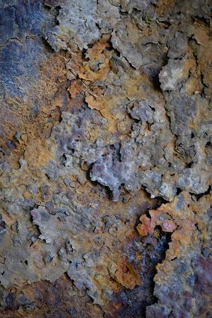 Premium Photographic Print, , small