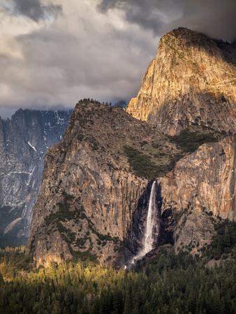 Premium Photographic Print, , small