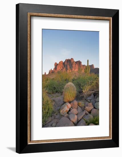 USA, Arizona, Lost Dutchman State Park. Barrel Cactus and Superstition Mountains-Kevin Oke-Framed Photographic Print