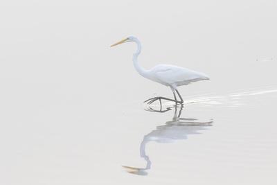 Premium Photographic Print, , small