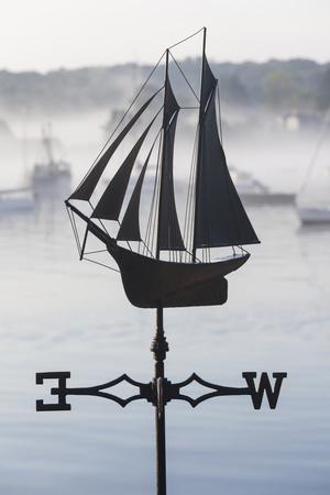 Premium Photographic Print, , small