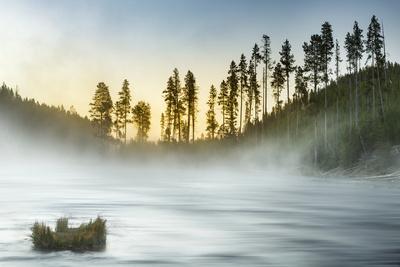 Premium Photographic Print, , small