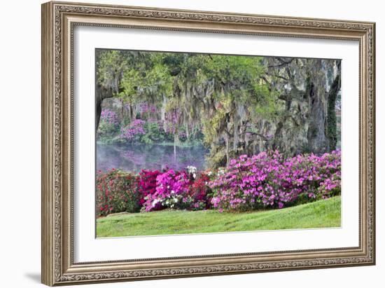 USA, South Carolina, Charleston, Calm Among the Flowers-Hollice Looney-Framed Photographic Print