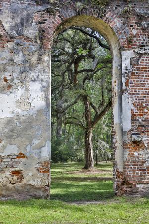 Premium Photographic Print, , small
