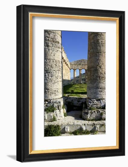 Italy, Sicily, Segesta. Greek temple columns.-Michele Molinari-Framed Photographic Print