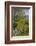 Ireland, County Galway, Cong, elevated springtime landscape-Walter Bibikow-Framed Photographic Print