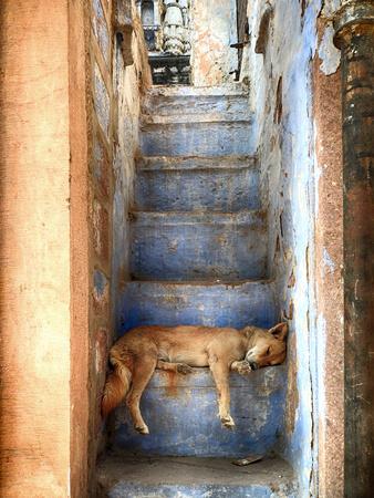 Photographic Print, , small