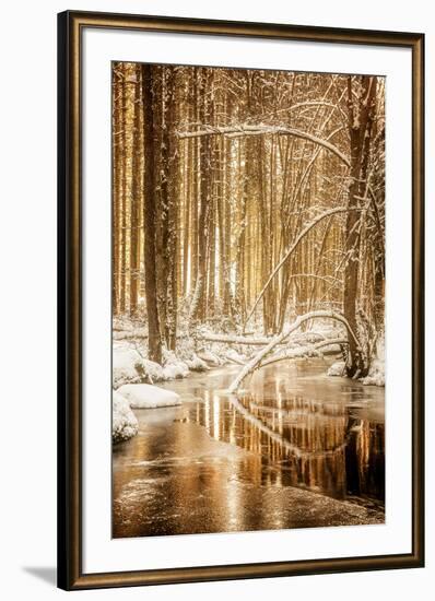 Heart of Gold-Philippe Sainte-Laudy-Framed Photographic Print