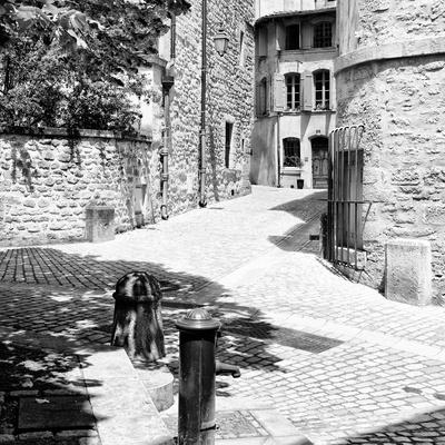 Premium Photographic Print, , small