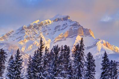 Premium Photographic Print, , small