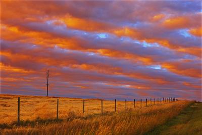 Premium Photographic Print, , small