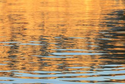 Premium Photographic Print, , small