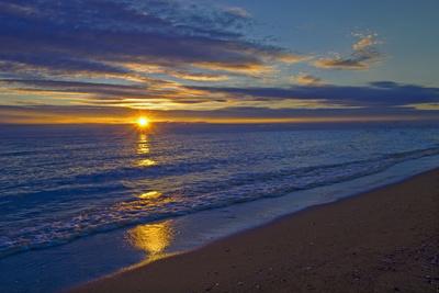 Premium Photographic Print, , small