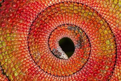 Photographic Print, , small