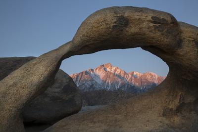 Premium Photographic Print, , small