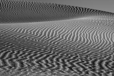 Premium Photographic Print, , small