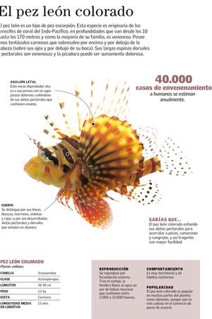 Photographic Print, , small