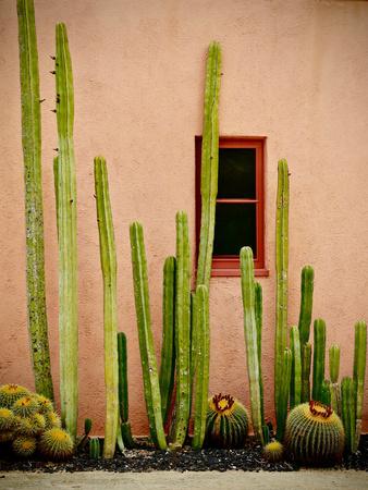 Premium Photographic Print, , small