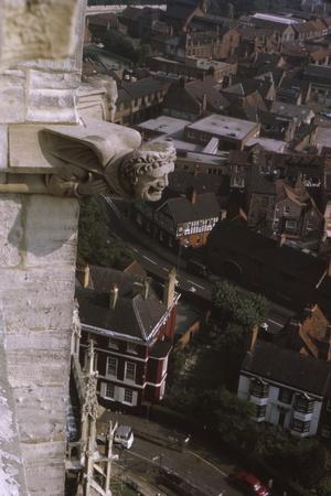 Premium Photographic Print, , small