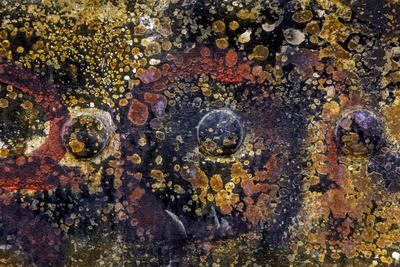 Premium Photographic Print, , small