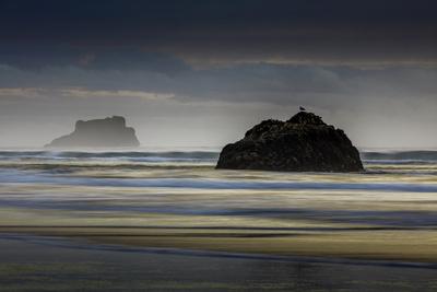 Premium Photographic Print, , small