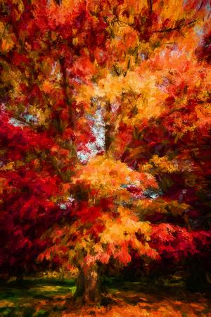 Premium Photographic Print, , small