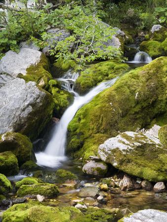 Photographic Print, , small