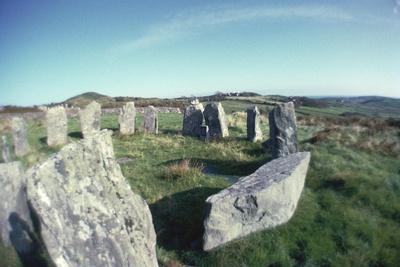 Photographic Print, , small