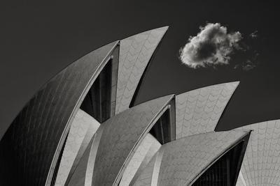 Photographic Print, , small