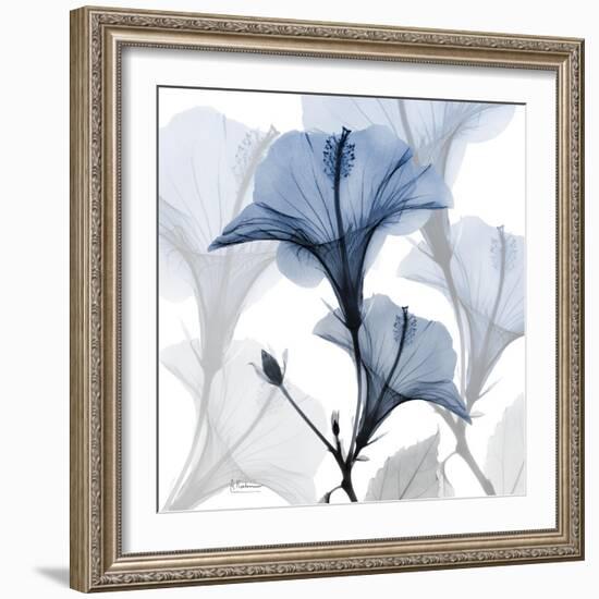 Steel Hibiscus-Albert Koetsier-Framed Photographic Print