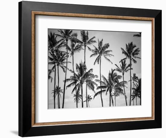 Palm Heaven-Design Fabrikken-Framed Premium Photographic Print