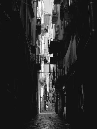 Premium Photographic Print, , small