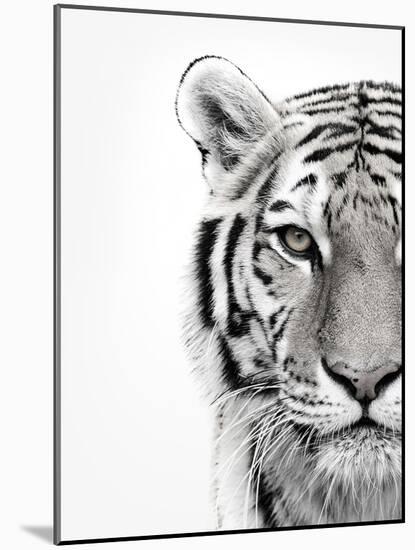 White Tiger-Design Fabrikken-Mounted Photographic Print