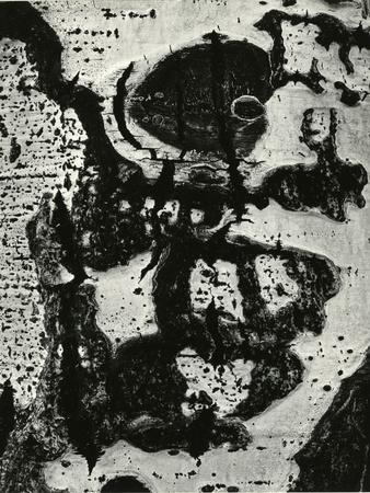 Photographic Print, , small