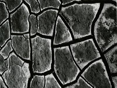 Photographic Print, , small