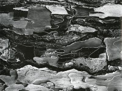 Photographic Print, , small