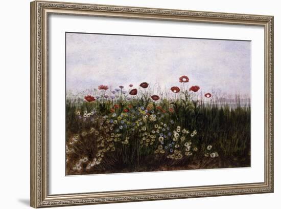 Flowers on the Irish Coast-Andrew Nicholl-Framed Giclee Print