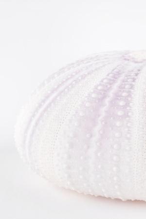 Photographic Print, , small