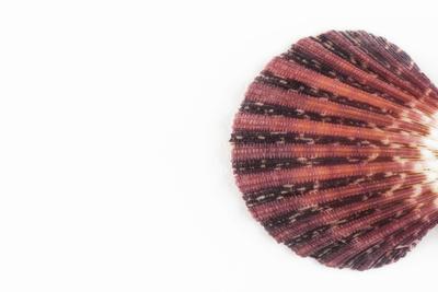 Photographic Print, , small