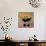 Panda with Guns-Banksy-Giclee Print displayed on a wall