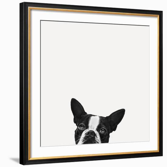 Loyalty-Jon Bertelli-Framed Giclee Print