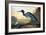 Blue Crane or Heron-John James Audubon-Framed Giclee Print