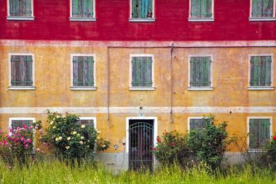 Premium Photographic Print, , small